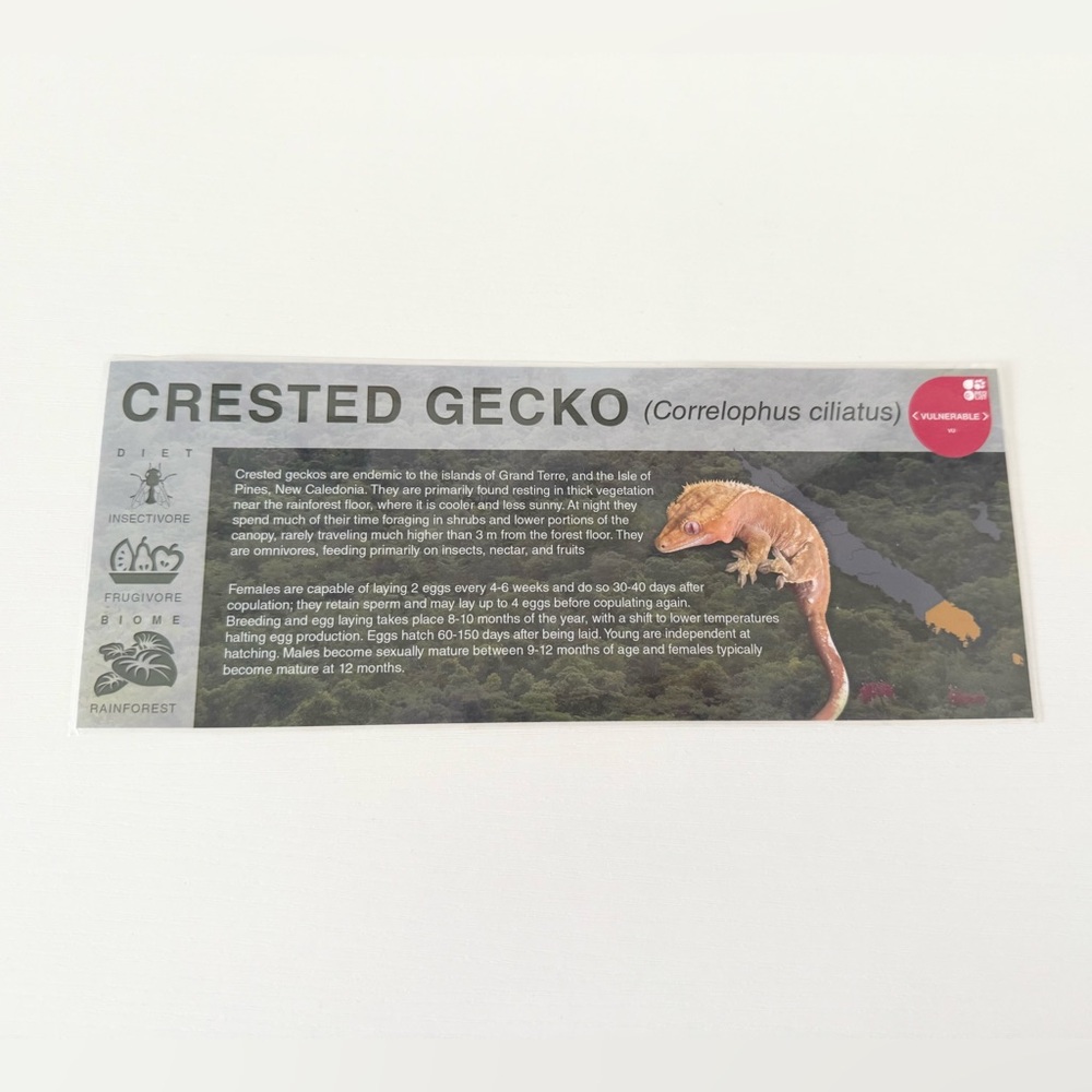 Laminated crested gecko laminated species display tag